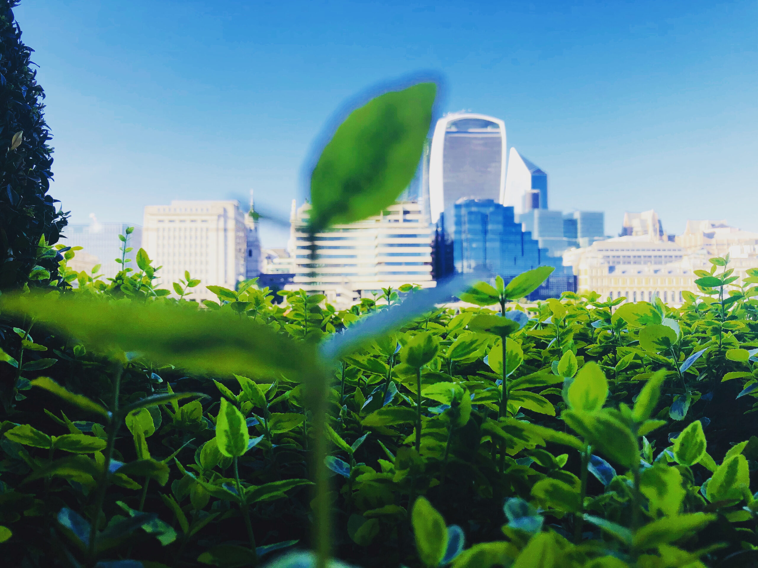 COP26: Green finance