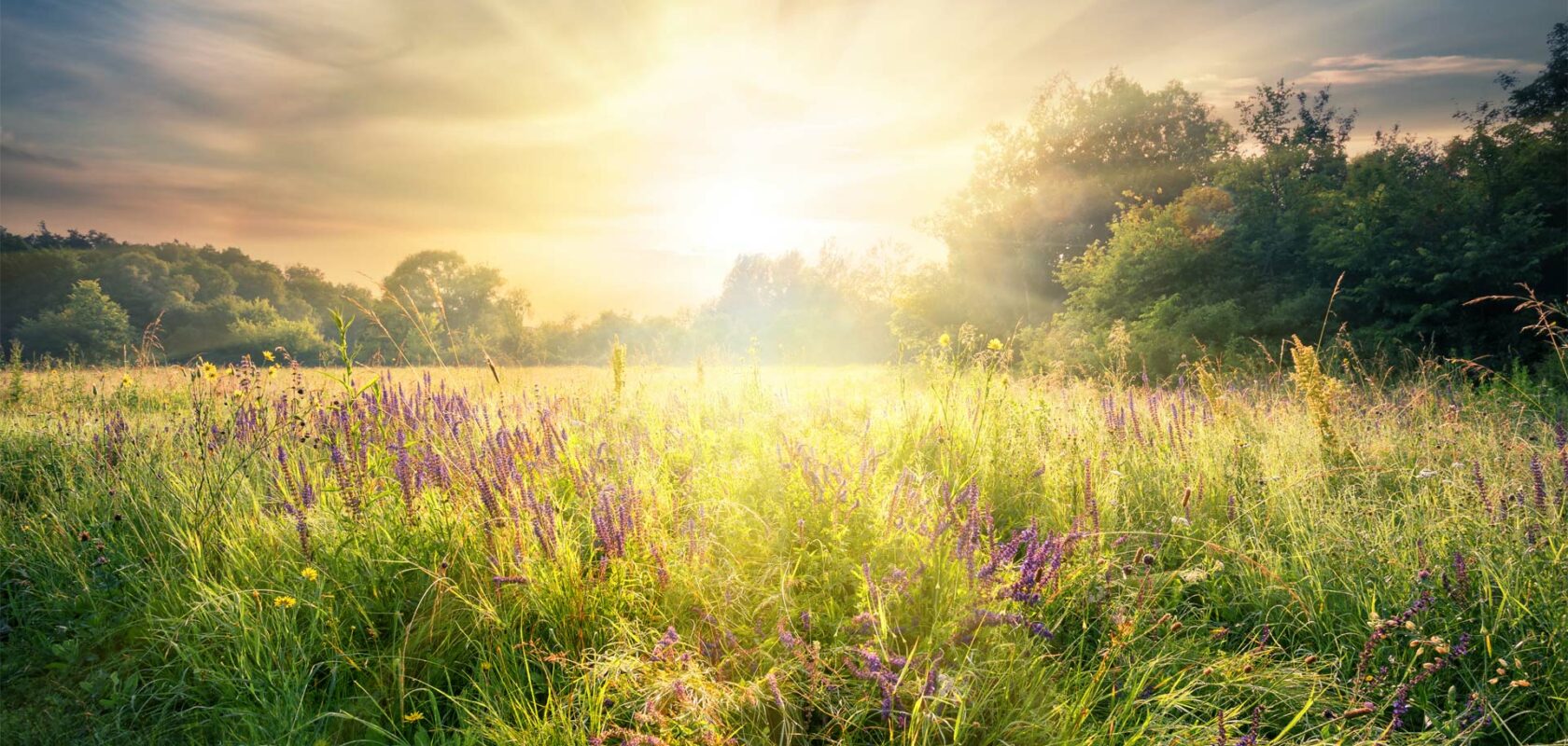 The Sweco Sustainability Sun