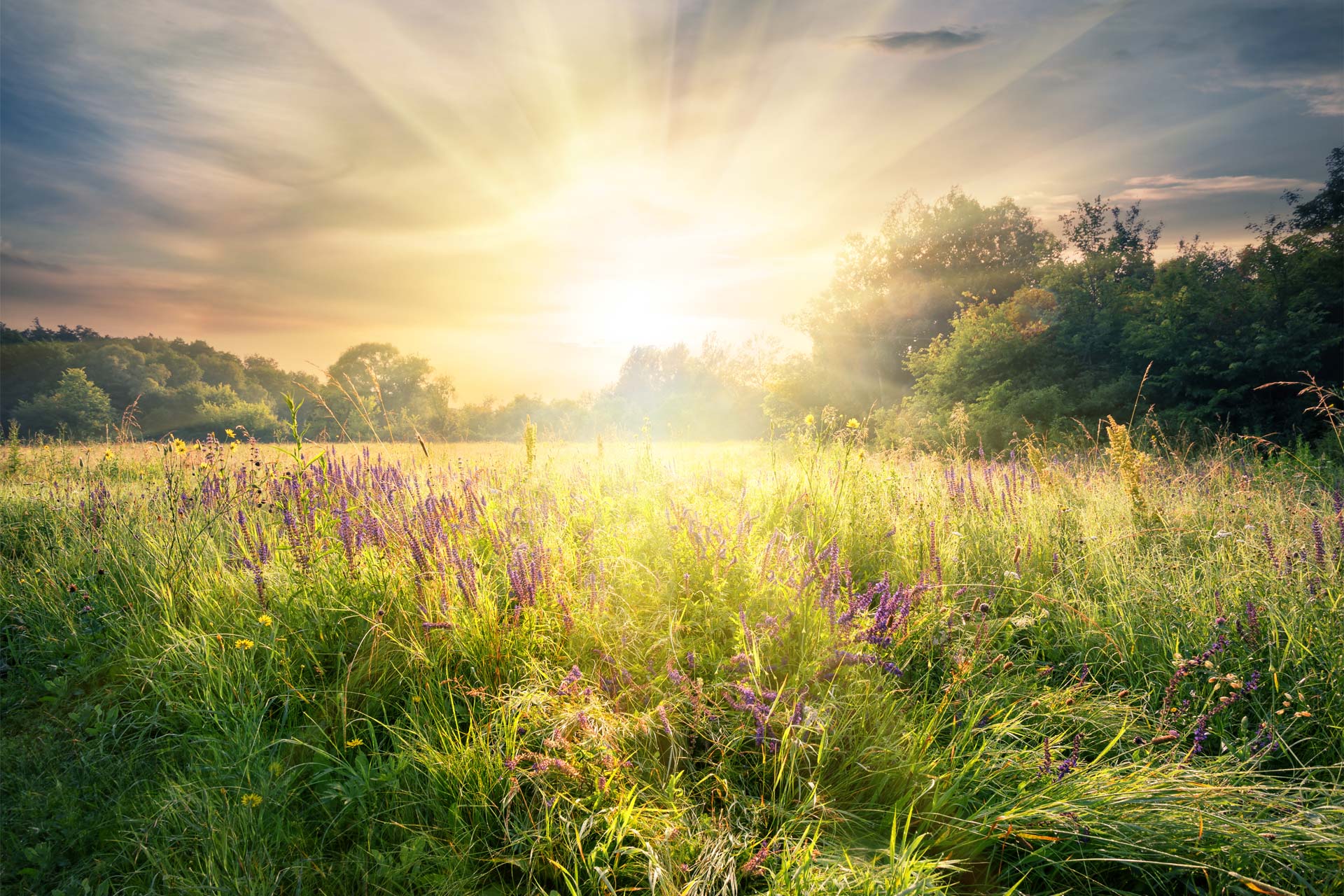 The Sweco Sustainability Sun
