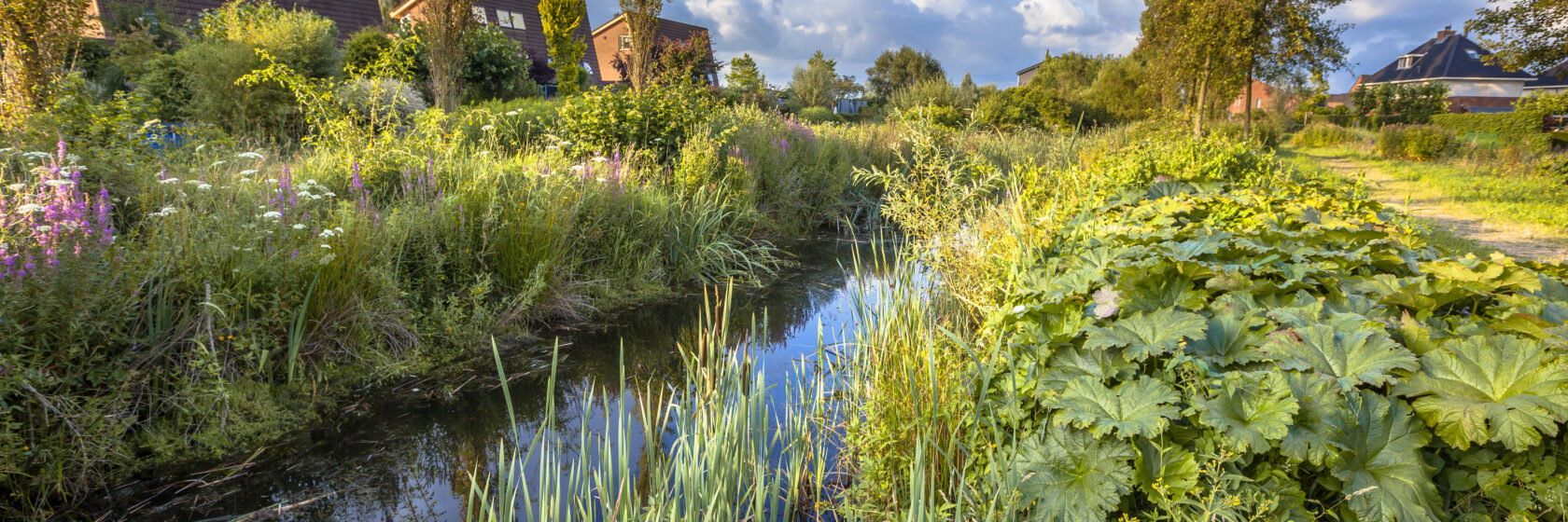 Image of an ecological Drainage canal