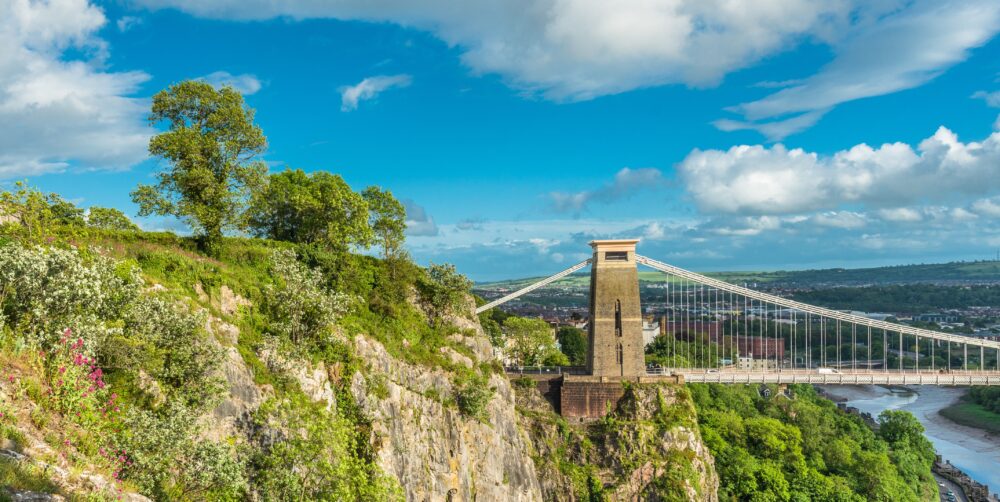 Bristol Ecology Services